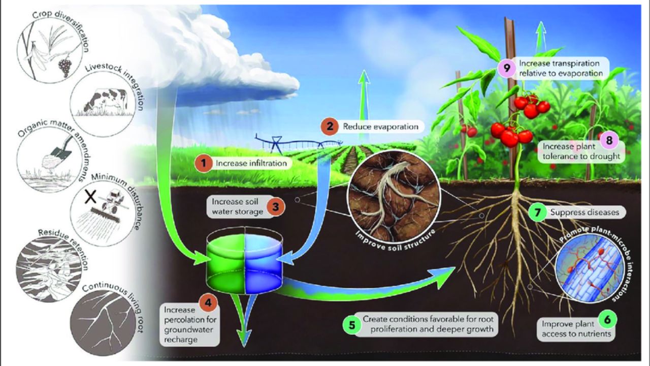 Water Management for Soil